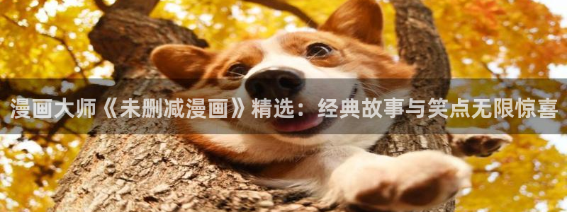 歪歪漫画免费入口无删减