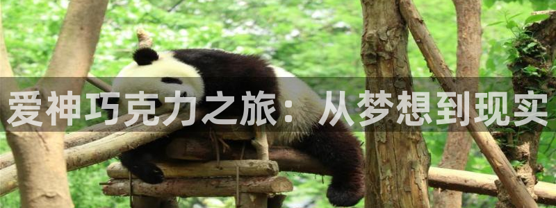 歪歪漫画韩漫首页满溢游泳池