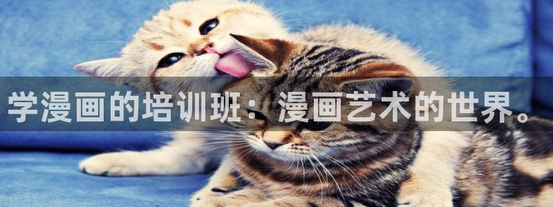 歪歪漫画免费进入页面在线阅读